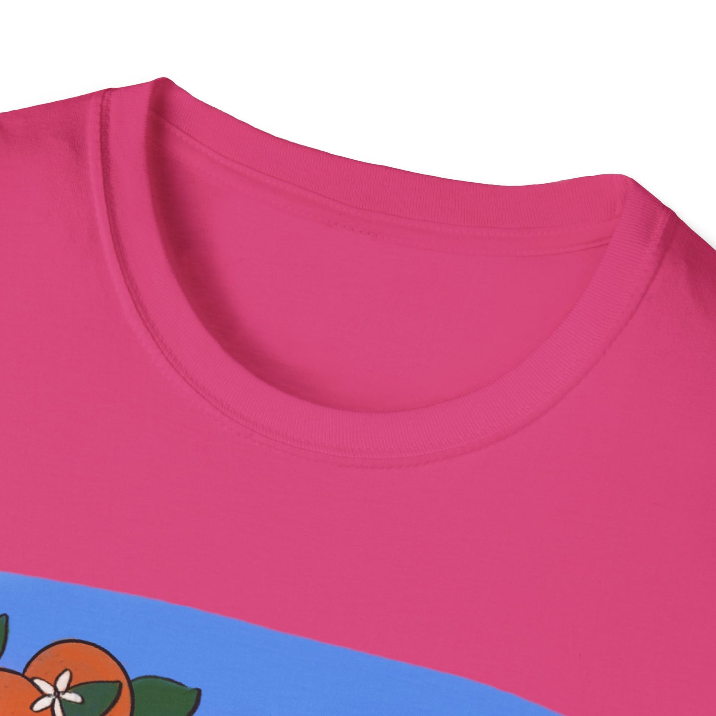 Florida Trans Pride Shirt